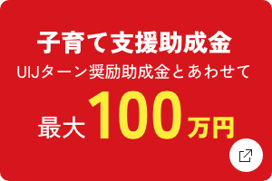 画像：子育て支援助成金（県外からの移住者)