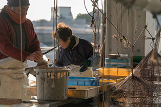 画像：魚の下処理を行う漁師夫婦